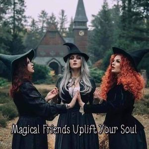 Meet your Posher, Lynn